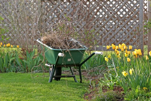 Flower Bed Cleanup Service in Orange