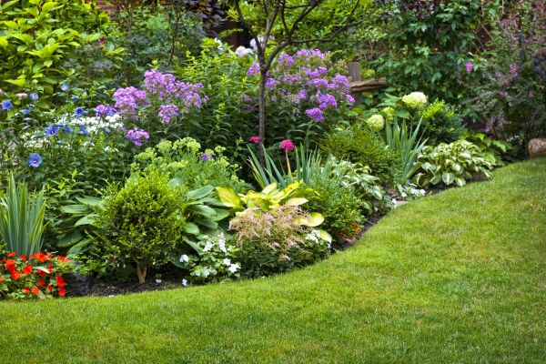 Flower Bed Service in Orange