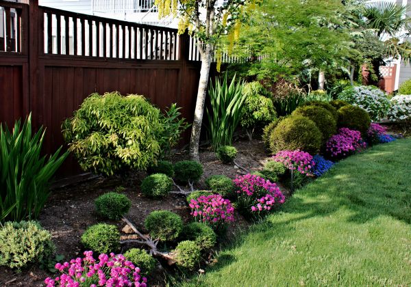 Garden Care Service in Orange