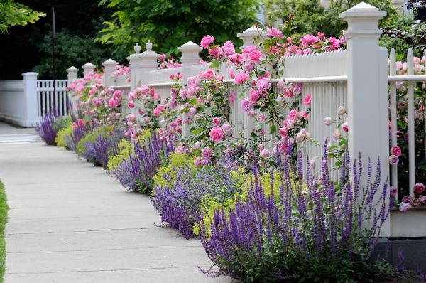 Garden Handyman Service in Orange