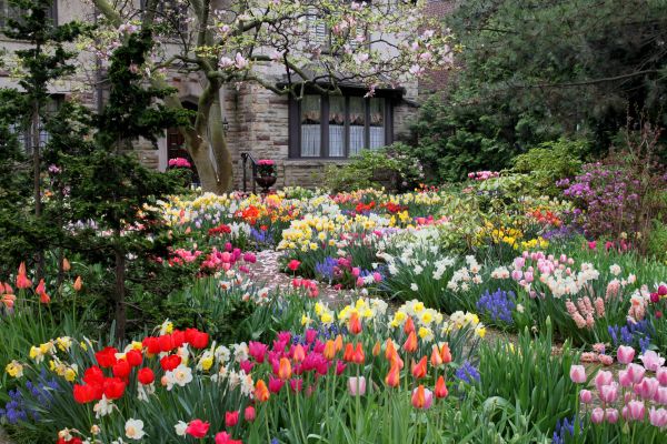 Garden Maintenance Service in Orange