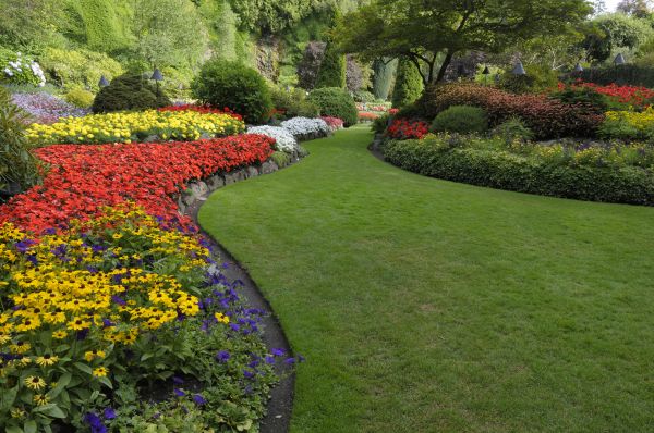Landscaping Maintenance in Orange