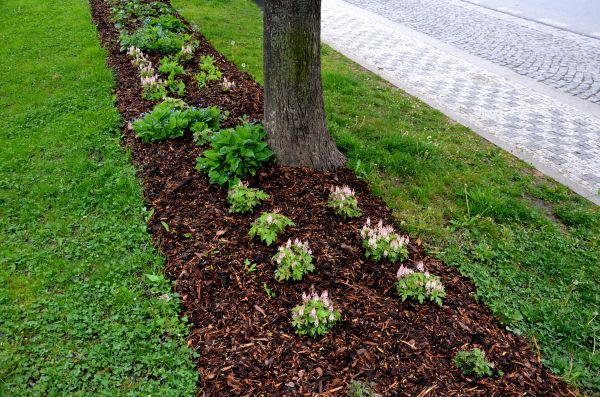 Mulch Replacement Service in Orange