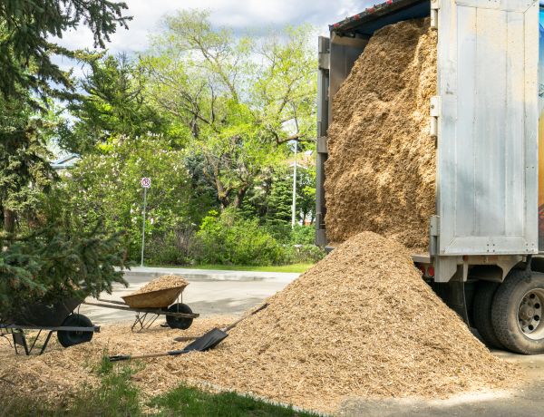 Wood Chips Delivery in Orange