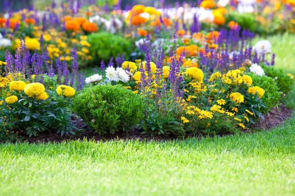 Garden Installation in Orange