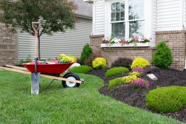Landscape Maintenance Service in Orange