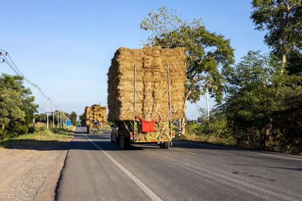 Pine Straw Delivery in Orange