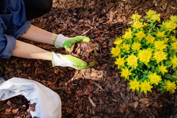 Garden Mulching in Orange