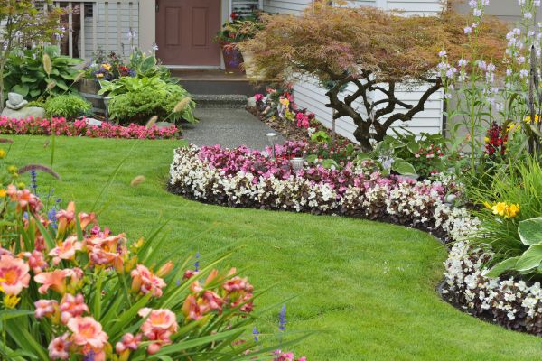 Perennial Landscaping in Orange
