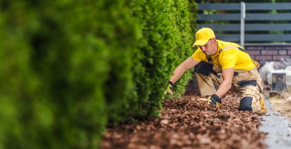 Cypress Mulch Installation in Orange