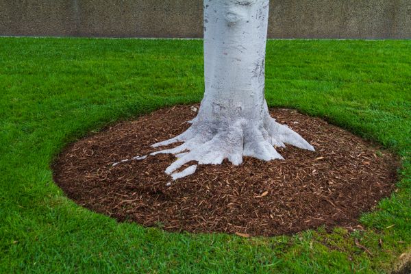 Brown Mulch Installation in Orange