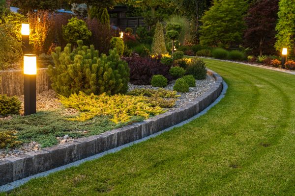 Garden Repair Service in Orange