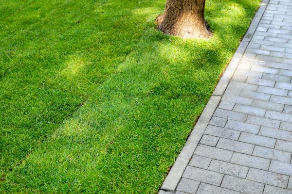 Border Stone Installation in Orange