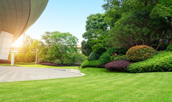 Business Landscape Design in Orange