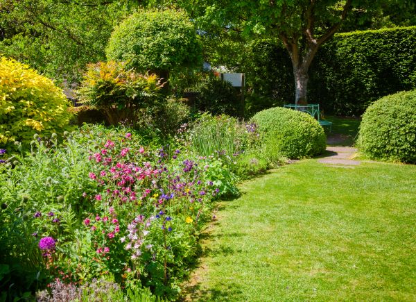 Yard Landscaping Service in Orange