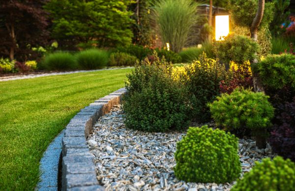 Landscaping Service in Orange