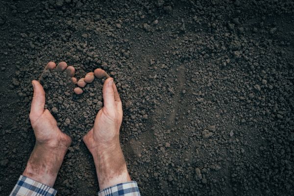 Soil Installation in Orange