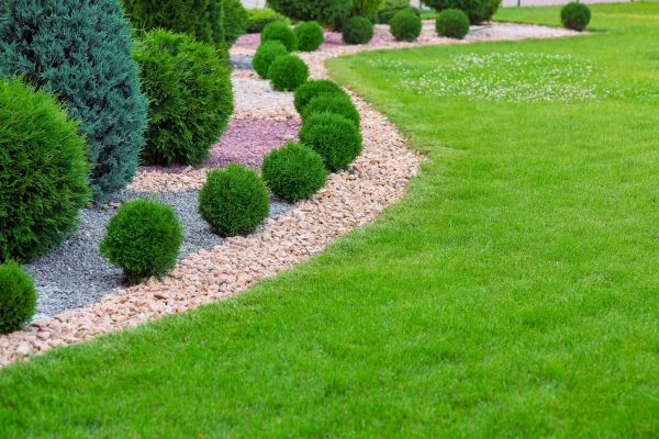 Edging Stones Installation in Orange
