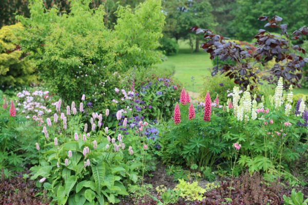 Flower Bed Planting in Orange