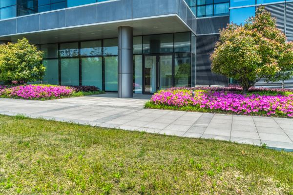 Commercial Gardening in Orange