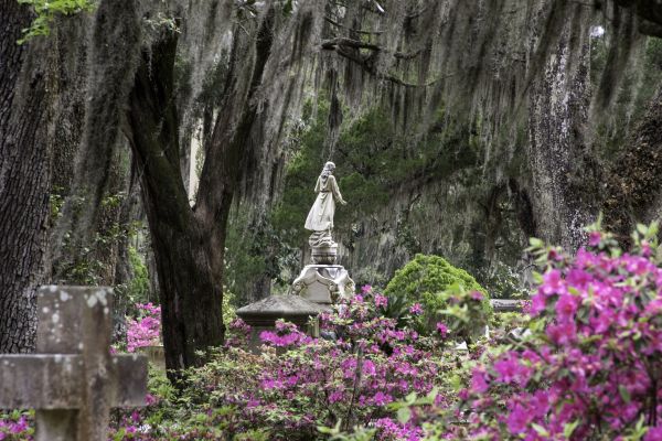 Cemetery Landscaping in Orange