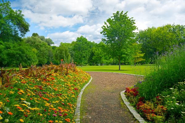 Park Landscaping in Orange
