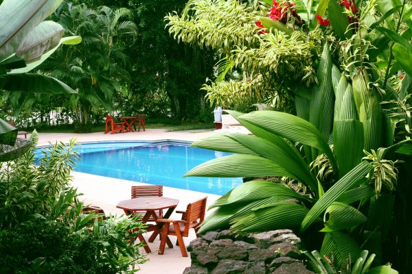 Tropical Garden Landscaping in Orange