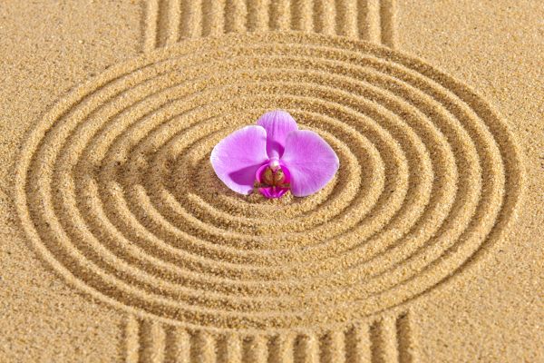 Sand Garden Landscaping in Orange