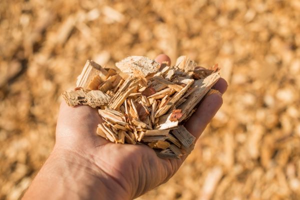 Wood Chips Spreading in Orange