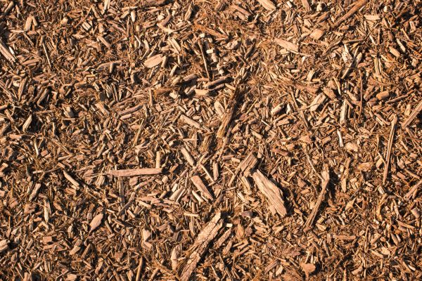 Wood Chips Removal in Orange