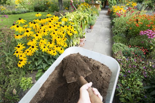 Topsoil Replacement in Orange