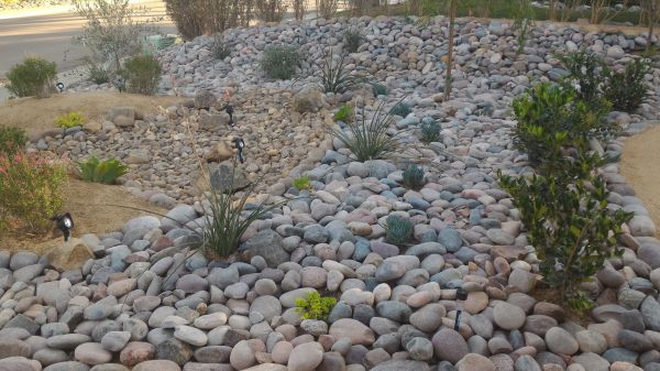 Yard Xeriscaping in Orange