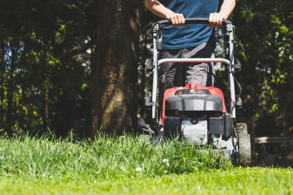 Garden Trimming Service in Orange