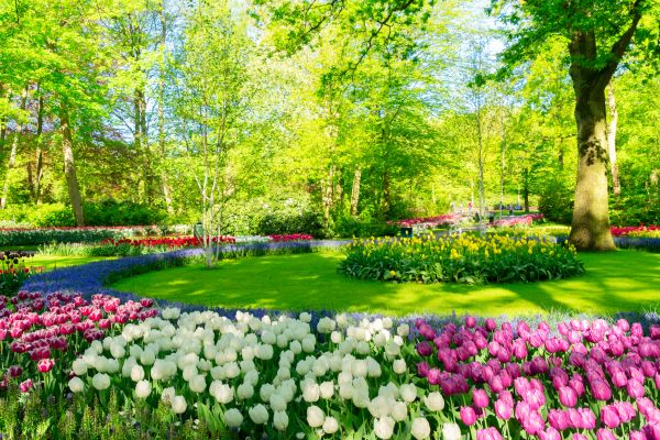 Flower Landscaping in Orange