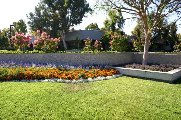 Commercial Landscape Service in Orange