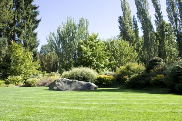 Yard Enlargement in Orange