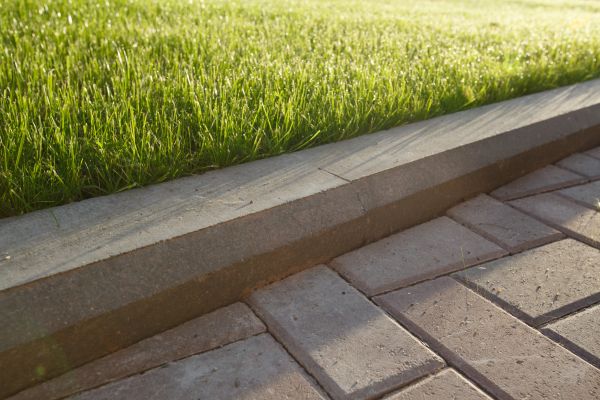 Lawn Edging Replacement in Orange
