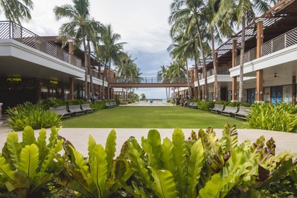 Commercial Lawn Renovation in Orange