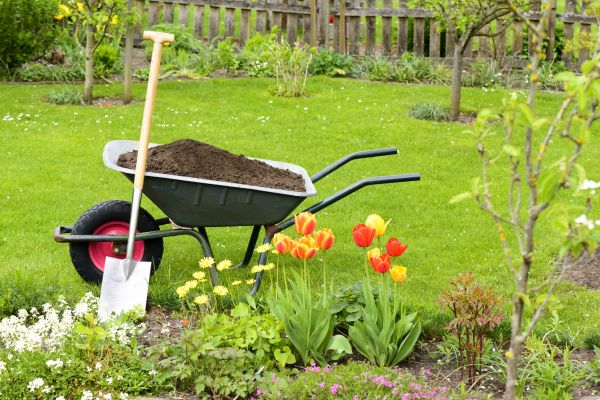 Spring Yard Renovation in Orange