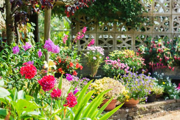 Spring Garden Maintenance in Orange