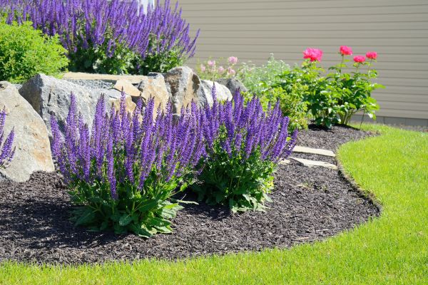 Landscape Planting Service in Orange