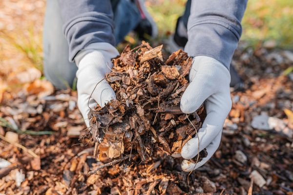 Shredded Mulch Installation in Orange