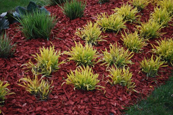 Red Mulch Installation in Orange