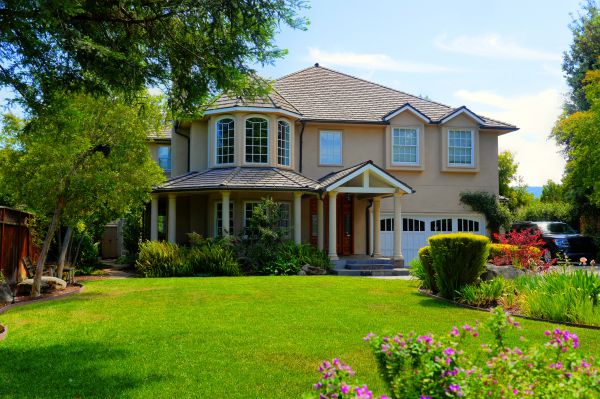 Large Yard Landscaping in Orange