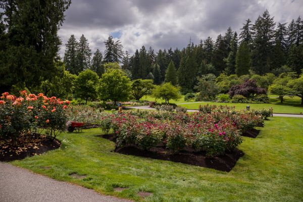 Flower Garden Landscaping in Orange
