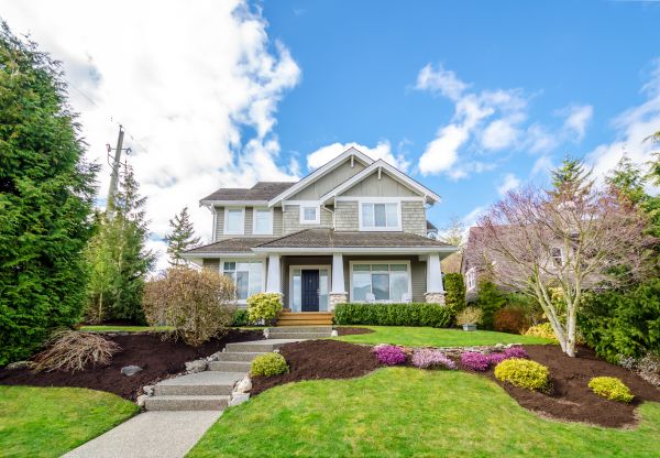 Landscaping Replacement in Orange