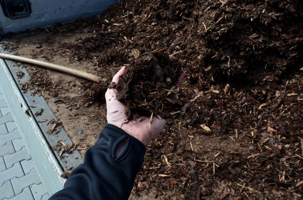 Condo Mulching in Orange