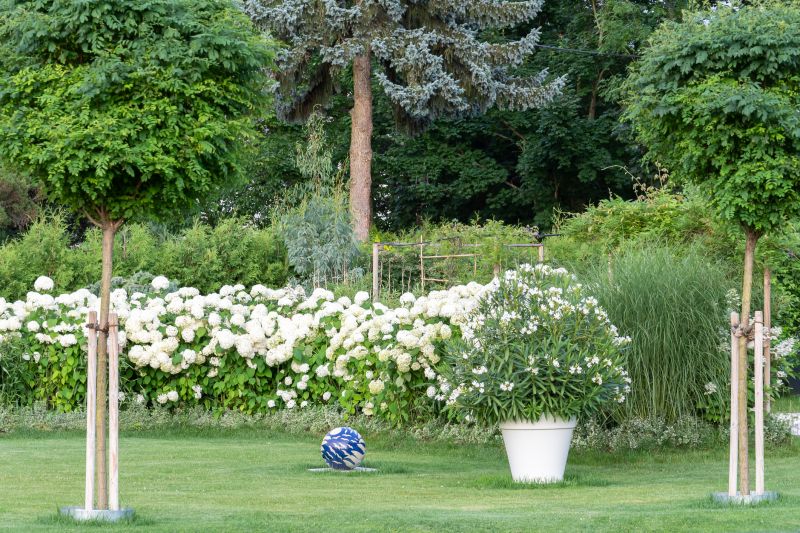 Lush Outdoor Environment