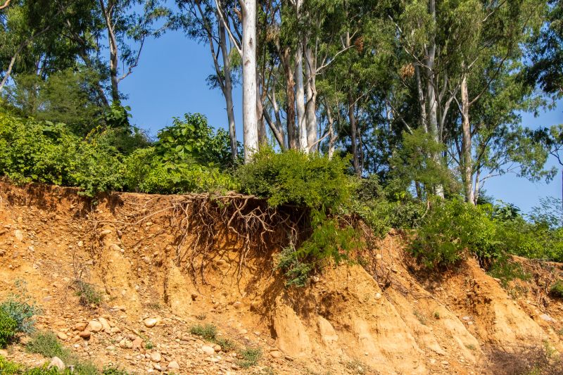 Soil Erosion Repair